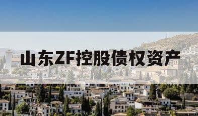 山东ZF控股债权资产