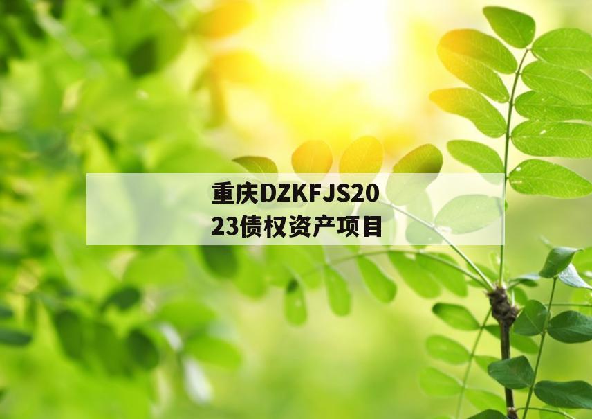 重庆DZKFJS2023债权资产项目