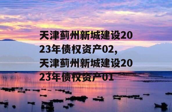 天津蓟州新城建设2023年债权资产02,天津蓟州新城建设2023年债权资产01
