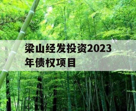 梁山经发投资2023年债权项目