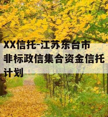 XX信托-江苏东台市非标政信集合资金信托计划