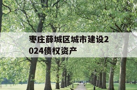 枣庄薛城区城市建设2024债权资产