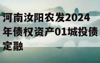 河南汝阳农发2024年债权资产01城投债定融